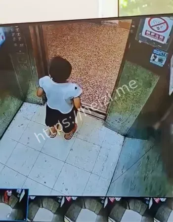 小孩电梯自救后续