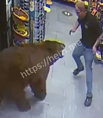 美国黑熊入侵超市事件